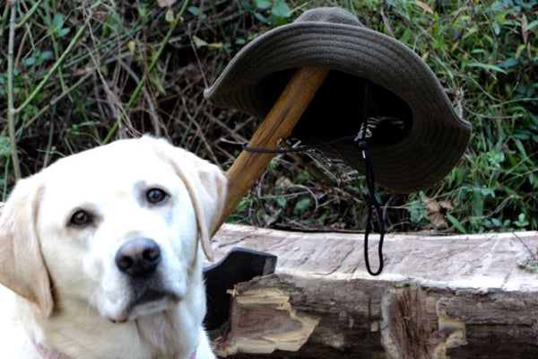 WeatherWool Advisor Dale Rodefer and Mrs Rodefer love their wool and their labs!