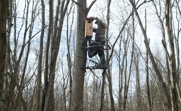 WeatherWool Advisor David Alexander installs a Wood Duck Nesting Box at The WeatherWool Swamp.