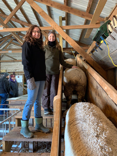 Shearing in March 2020 at PM Ranch, owned by WeatherWool Advisor Bob Padula.  We plan to make WeatherWool garments from this wool before 2021. Helping out are his daughters (who have both raised their own prize-winning sheep!).  The Ladies are wearing WeatherWool Anoraks and Neck Gaiters.