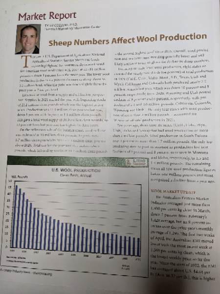WeatherWool very much appreciates the efforts of SheepUSA.org, the American Sheep Industry Association. The May 2021 issue of Sheep Industry News, their monthly magazine, states that American Wool production has fallen 75% since 1991.