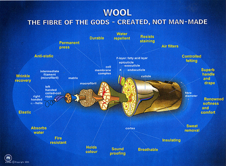 WeatherWool Diagram of Wool Fiber. The fantastic complexity enables fantastic performance.