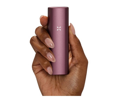 Wholesale PAX Plus Elderberry Dry Herb Vaporizer