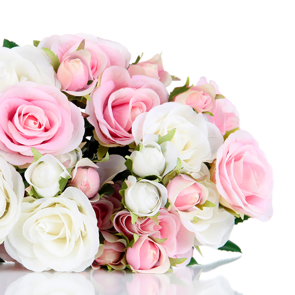 Image result for images of pink and white roses