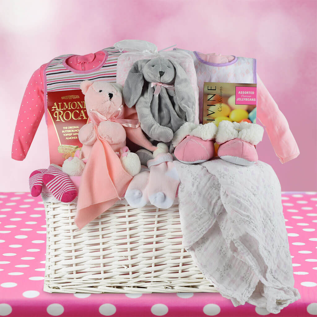 gift basket for newborn baby girl