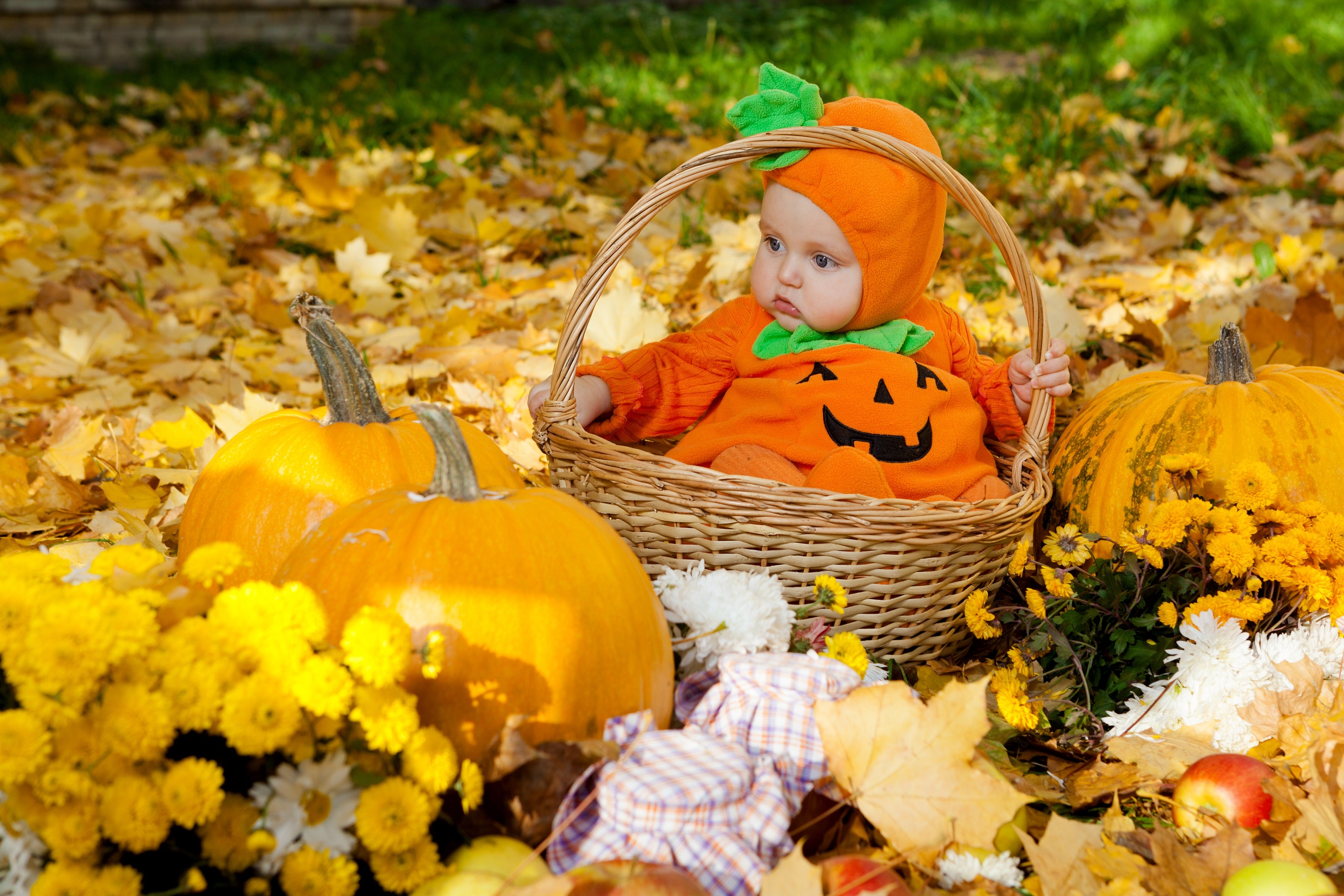 Baby in Pumpkin Costume - small