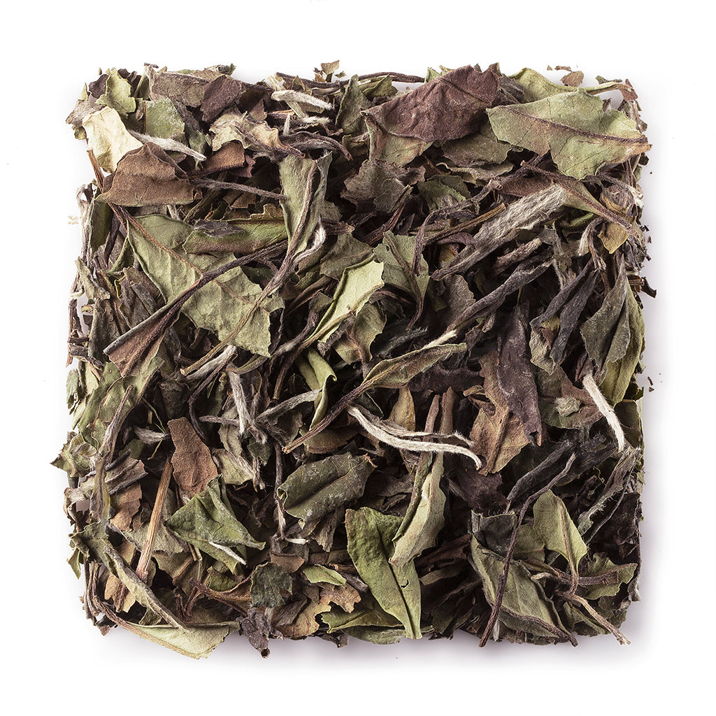 Supreme Silver Needle White Tea #1125 | Wing Hop Fung 永合豐