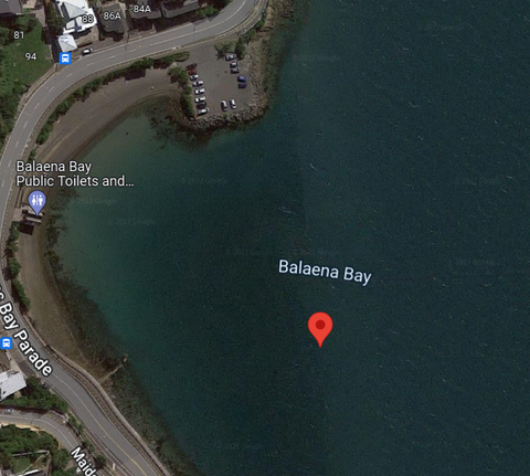 Wellington Wing Foiling Location, Balaena Bay