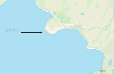 Wellington Wing Foiling Location Guide, Motukaraka Point