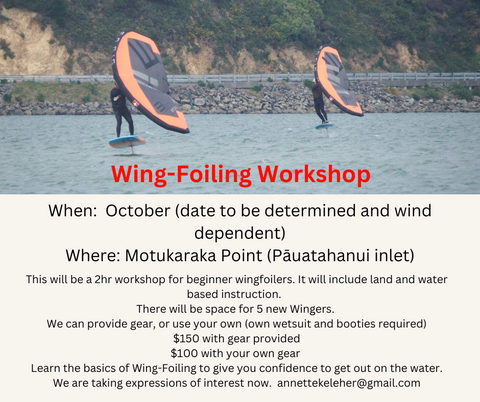 Wellington Wingfoiling Workshop