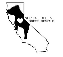 NorCalBullyBreadRescue