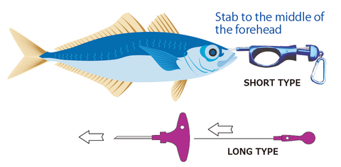 How to Ikejime with Shinkei-Jime Fish Spike Wire Tool Set – Xtradashop