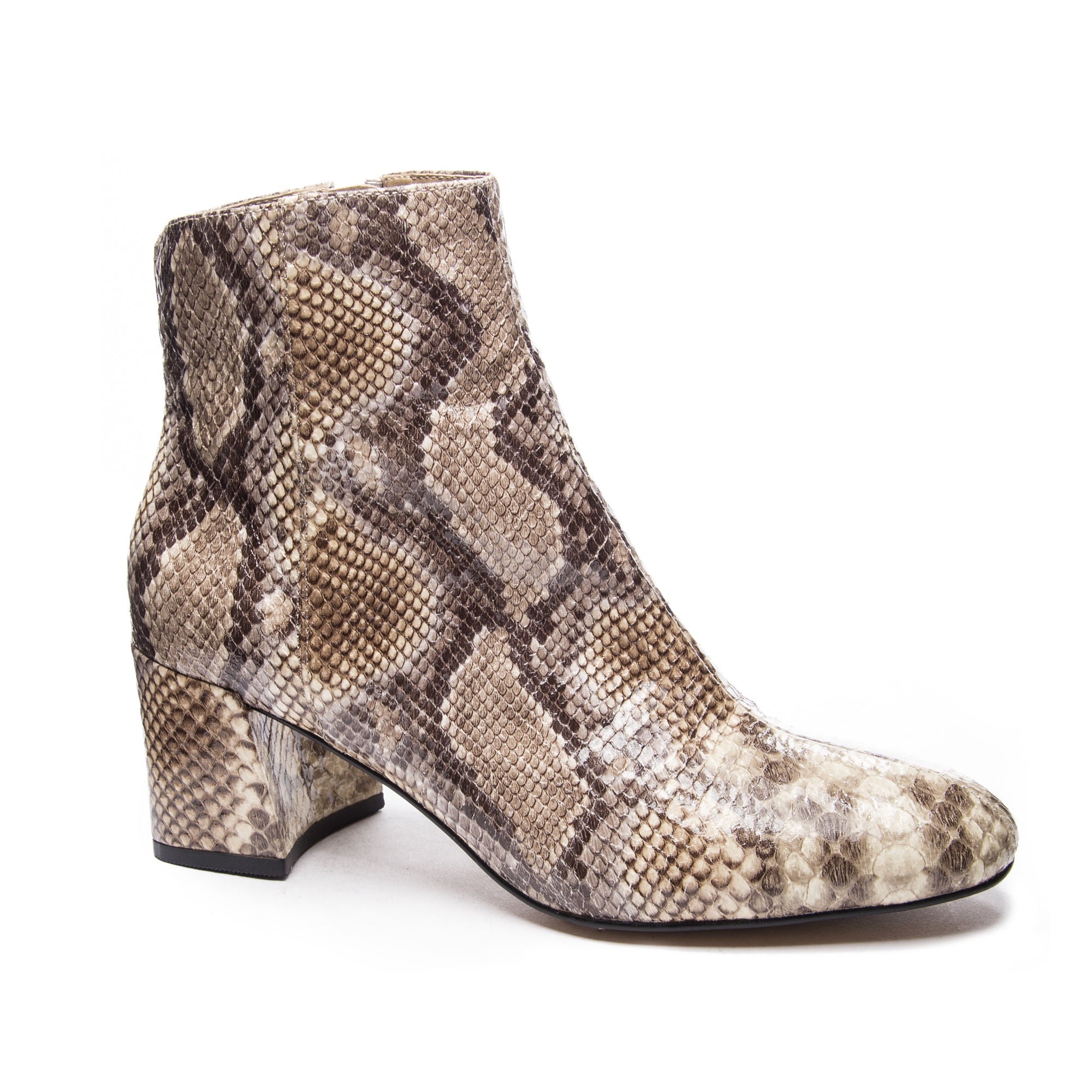 snakeskin booties boutique