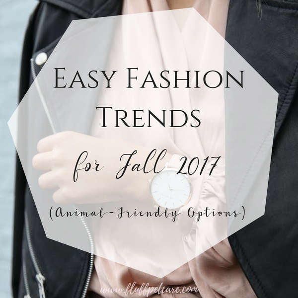 Easy Fall Fashion Trends