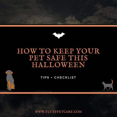 Halloween Safety Checklist for Pets