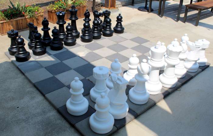 2 1/2 Analysis Size Plastic Chess Pieces – Chess House