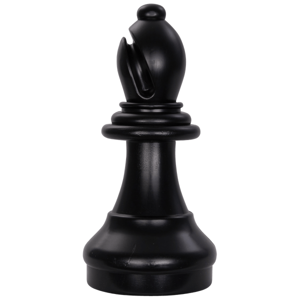 Chess Board With Set Up Chess Pieces Bishop King Game Pieces Photo