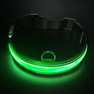 LaRoo LED Collier pour Chiens, Lumineux Collier de Chien Clignotant Collier de Sécurité pour Bande en Nylon Lumineux pour Chien de Lueur de Sécurité Brillant pour Chiens - Beewik-Shop.com