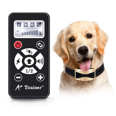 Collier de Dressage Électrique Rechargeable Étanche IPX6 pour 2 Chiens Max, 2 Modes Automatique & Manuel, 7 Niveaux Ajustables Vibration | Choc Électrique | Son | Sensibilité, Portée 300 à 730 Mètres - Beewik-Shop.com