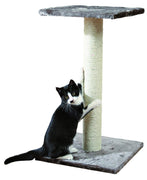 Trixie Arbre à Chat Espejo Gris Platinium 69 cm - Beewik-Shop.com