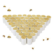 Janolia Cigarette d'abeille, Outil d'Apiculture, 54 Pièces Cigarette Chinoise d'Ivy, Combustibles Solides pour l'Apiculture, Outil d'Apiculture, Culture Apicole - Beewik-Shop.com