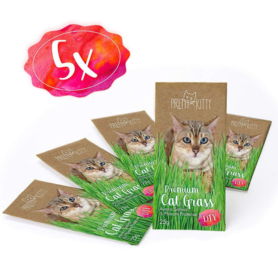 PRETTY KITTY Sachets de graines d'herbe à Chat; Sachet de semence de Menthe aux Chats pour Plusieurs Pots (5X 25g d'herbe à Chat) - Beewik-Shop.com