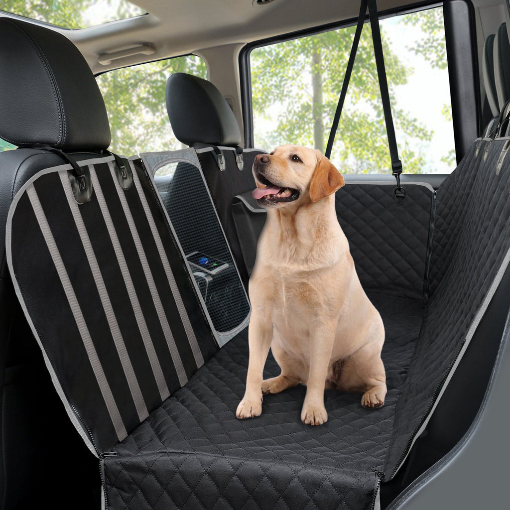 calmant pour chien voyage voiture