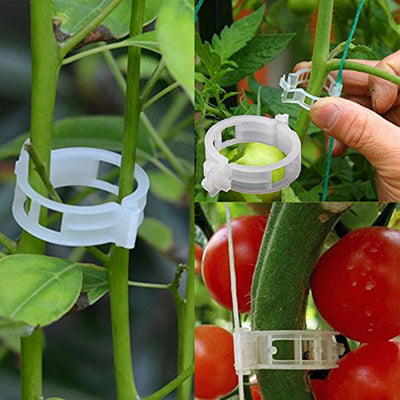 50/100 pièces 30mm Support de Plante En Plastique Clips Pour La Tomate Suspendus Treillis Vigne Relie Serre De Plantes Légumes Jardin Ornement - Beewik-Shop.com