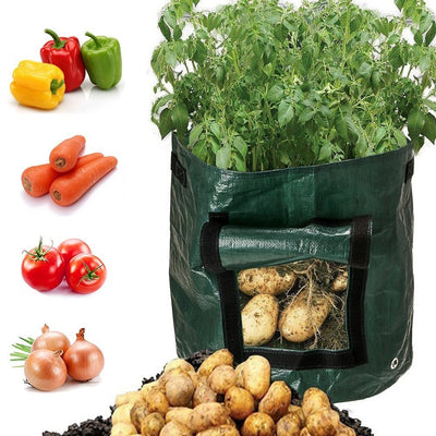 Plante végétale cultiver sac bricolage pomme de terre cultiver planteur PE tissu tomate plantation conteneur sac épaissir jardin Pot fournitures de jardin - Beewik-Shop.com