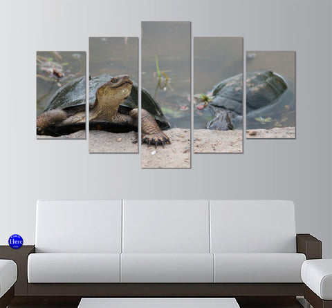 Terrapins In A Pond 5 Panel Canvas Print Wall Art