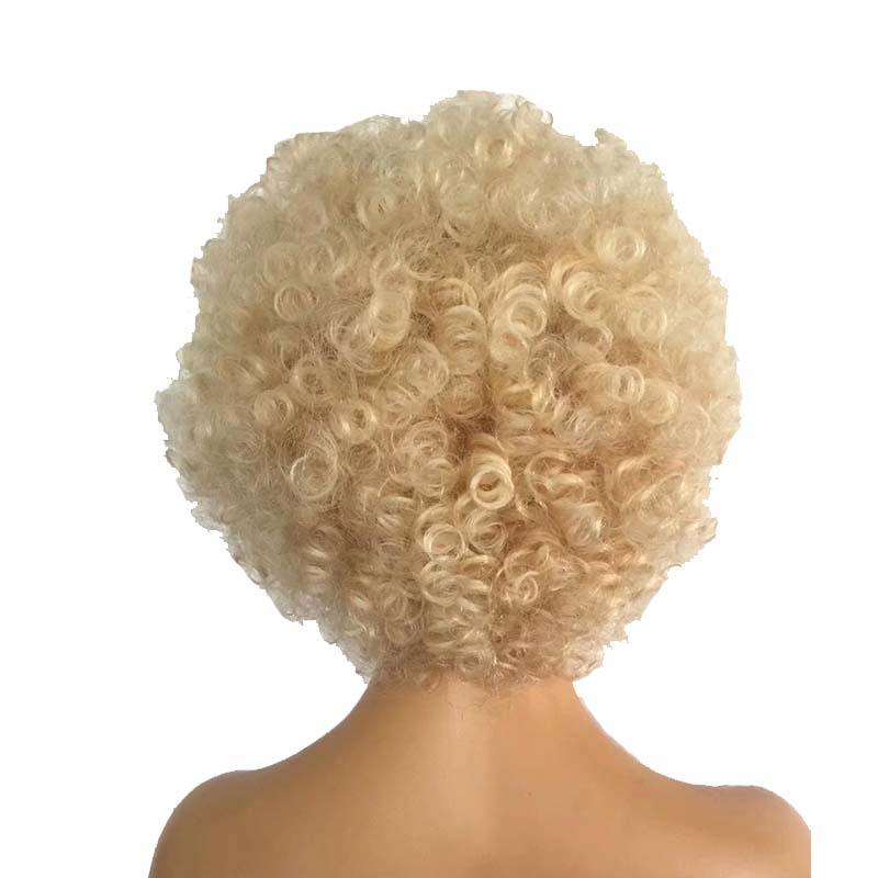 Blonde Afro Wig Human Hair Lace Front Brazilian Hair for Black Women ...