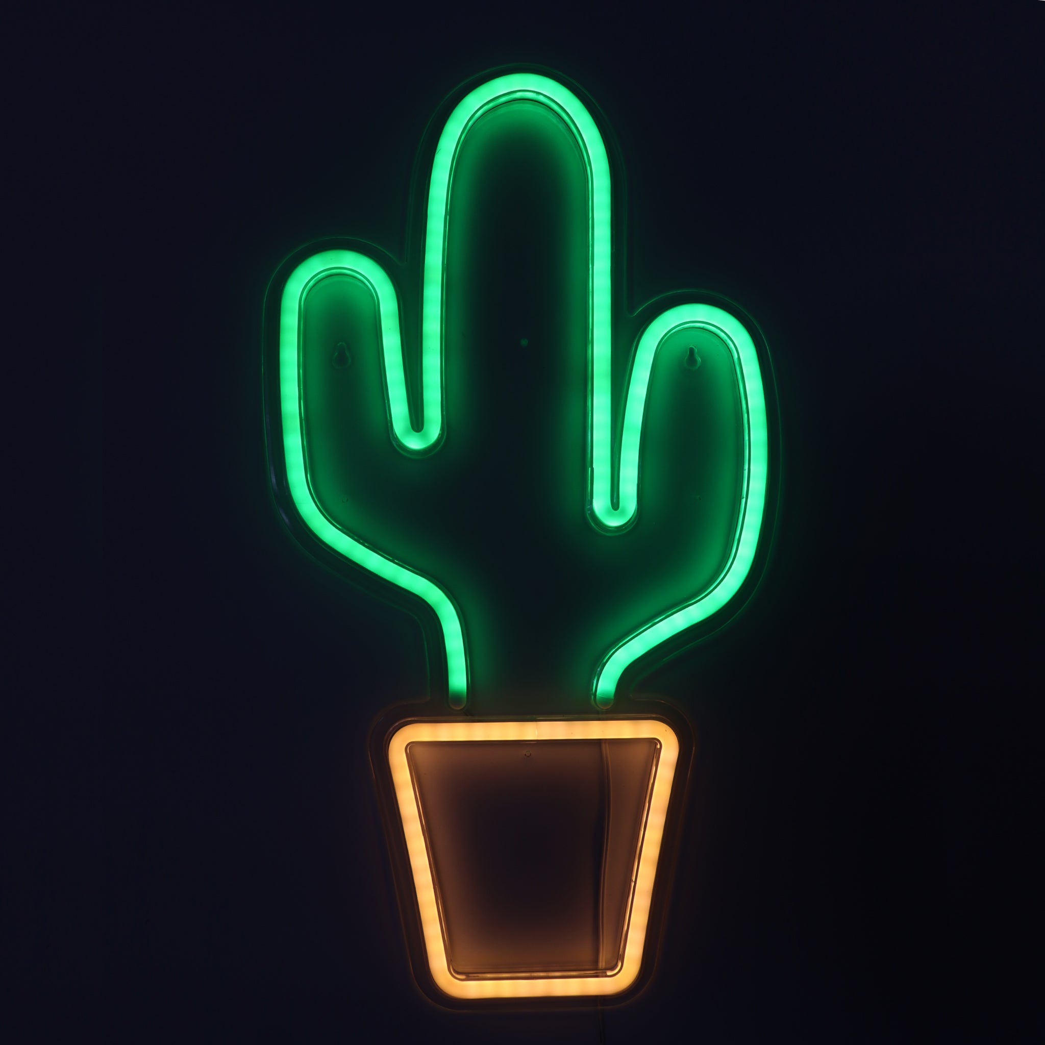 TONGER® Cactus acrylic wall LED neon sign – Tonger