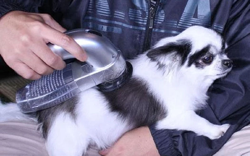 Portable Pet Hair Vacuum