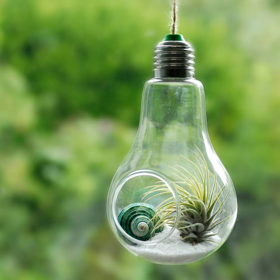 Modern Light Bulb Planter