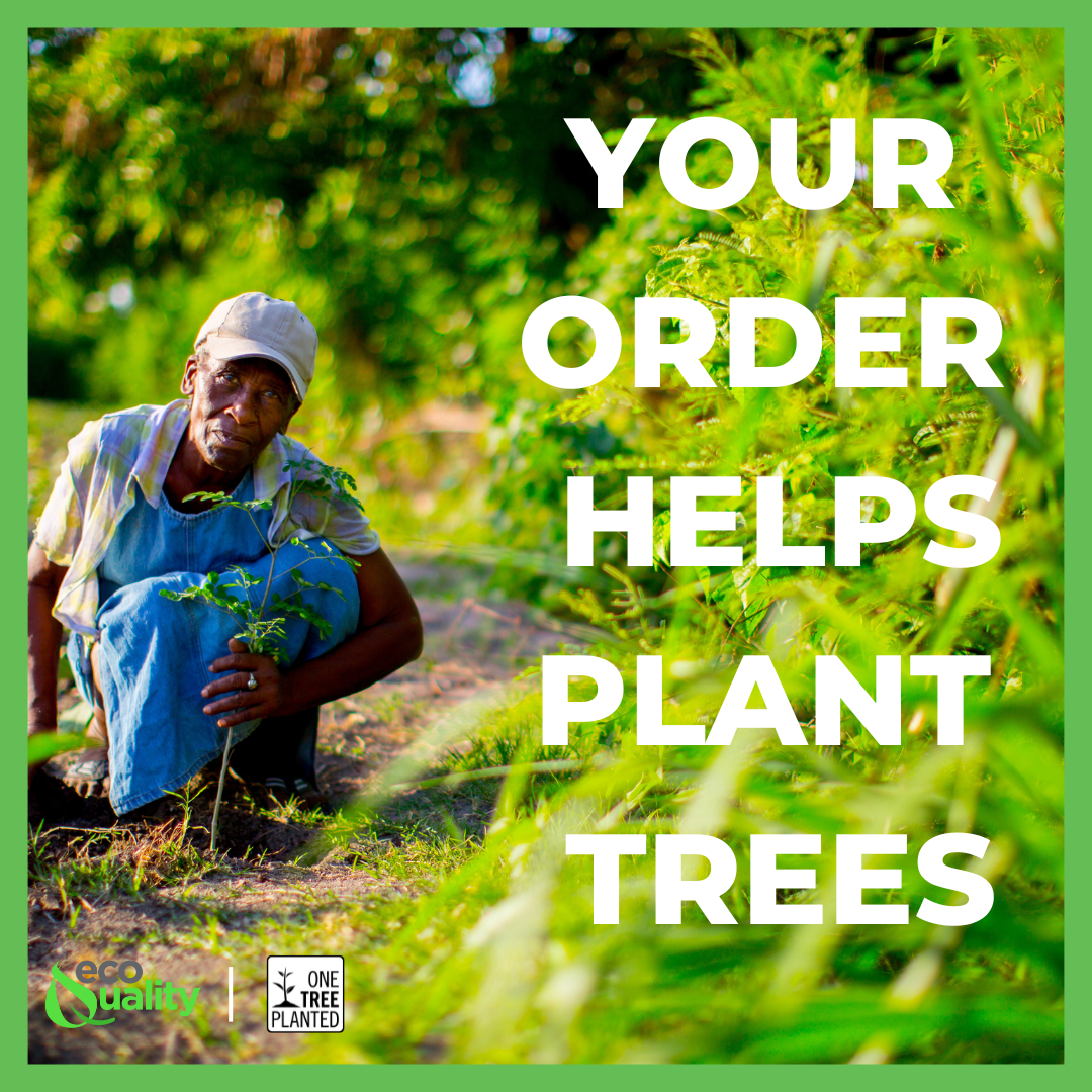 Check Out Our New Partnership with One 🌱Tree Planted