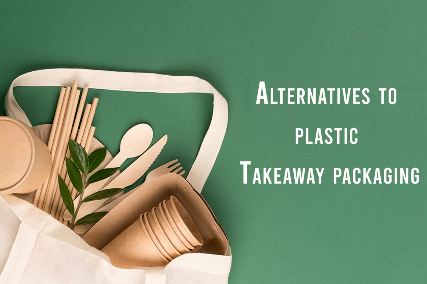 Alternatives to Plastic Takeaway Packaging