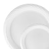 10" inch disposable plate china party tableware dinner plate plastic round salad plate wedding baby shower catering supplies charger plates translucent white small reusable bulk birthday gathering dessert appetizer plates heavy duty