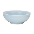 Yanco Bowl Flat BS-3906 is a great and affordable restaurant tableware. It is made from durable and reliable melamine material, which makes the bowl look like ceramics. You can use these unique round bowls to serve such dishes like rice, miso soup, noodles or salads. Thanks to the elegant Bay Shell collection style, the bowl will perfectly fit any food-serving establishment design.