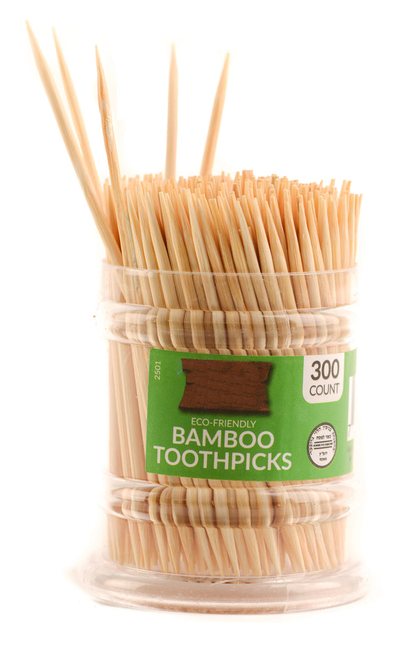 Bamboo Wooden Toothpicks In Clear Plastic Storage Box | Sturdy Safe Double Sided Party, Appetizer, Olive, Barbecue, Fruit, Teeth Cleaning Toothpicks