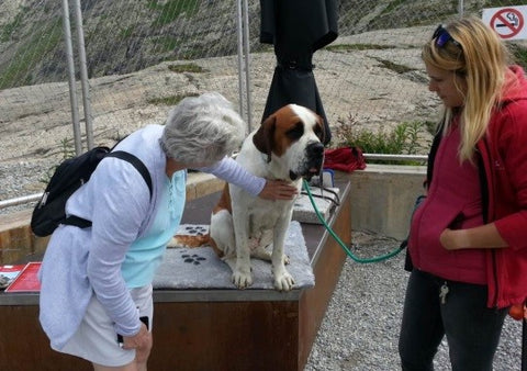 Jeanne Darling and a St Bernard