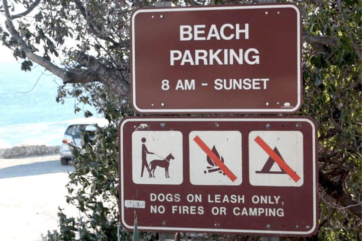 what beaches in los angeles allow dogs