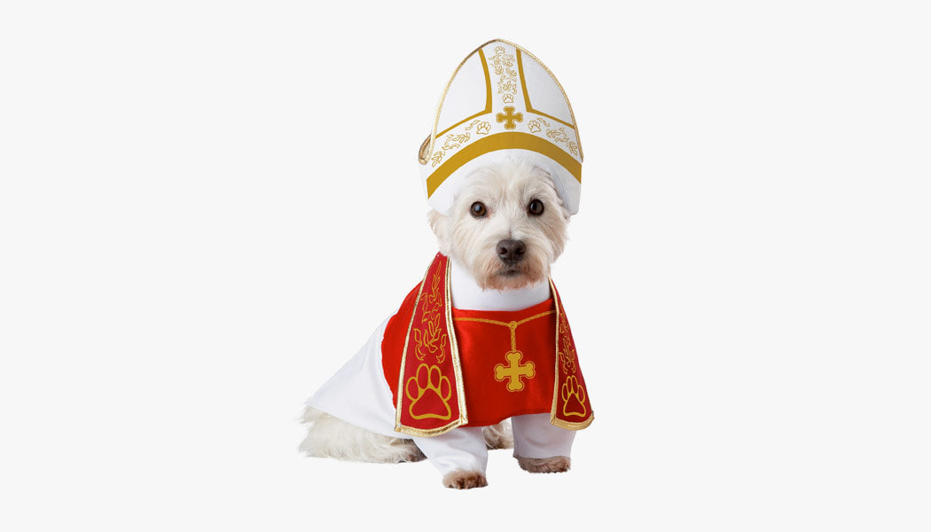 A dog wearing a Pope costume