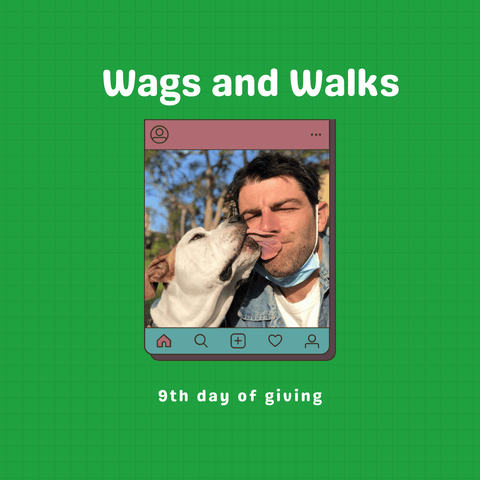 Wags and Walks