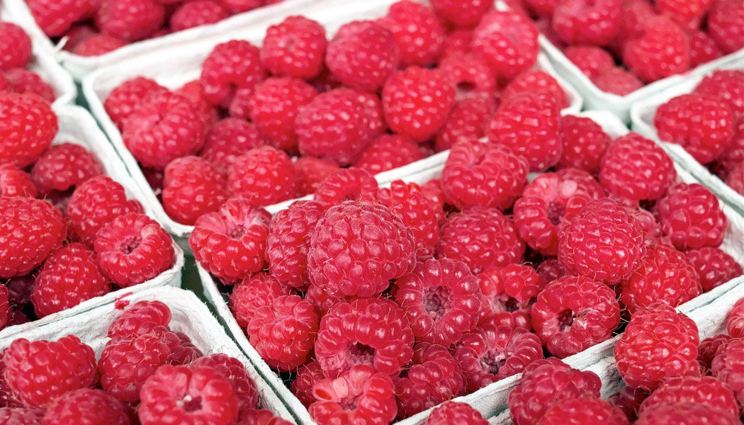 Raspberries - Best Fruits Safe for Dogs