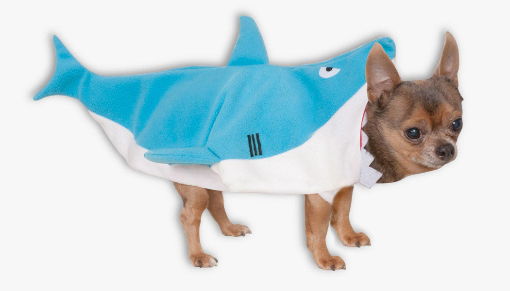 A dog wearing a shark costume - 10 Best Halloween Costumes for your Dogs 2023