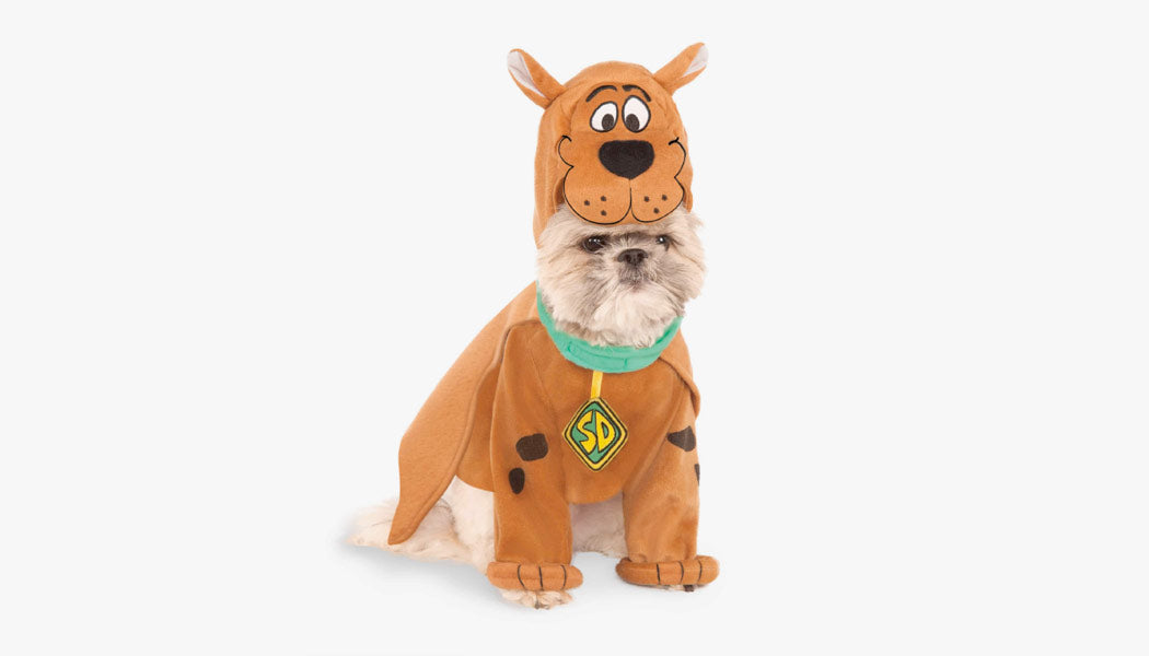 A dog dressed as Scooby-Doo for Halloween - 10 Best Halloween Costumes for your Dogs 2023