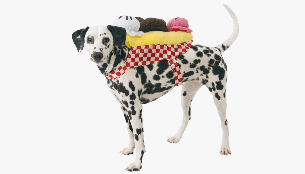 A dog dressedas a banana split for Halloween