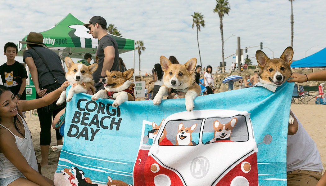what beaches in los angeles allow dogs