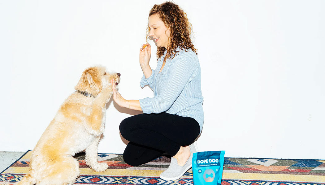 A dope dog named Baxter being fed with Peanut Butter CBD Calming Dog Treat by his owner Erica!