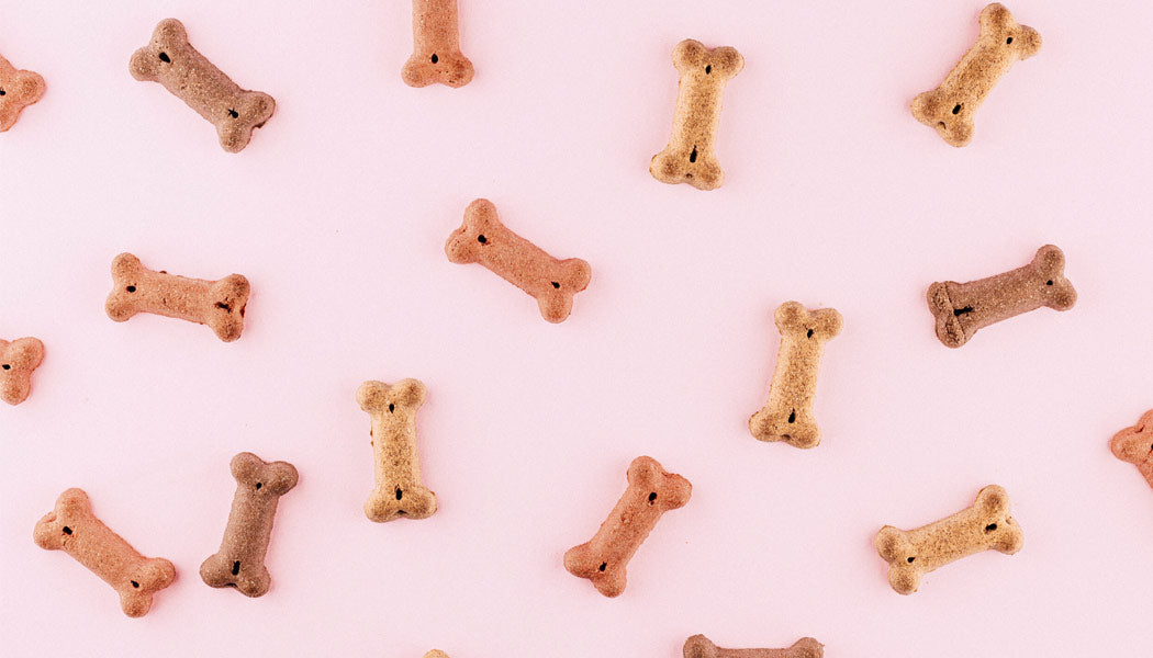 Dog treats scattered on a pink background. 