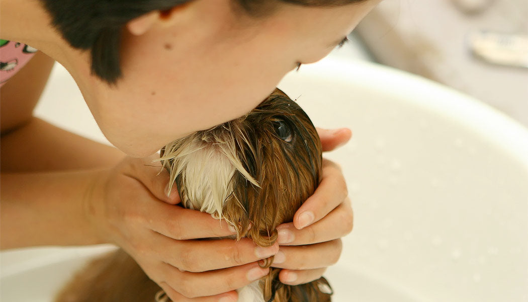  A woman kissing her dog while bathing him